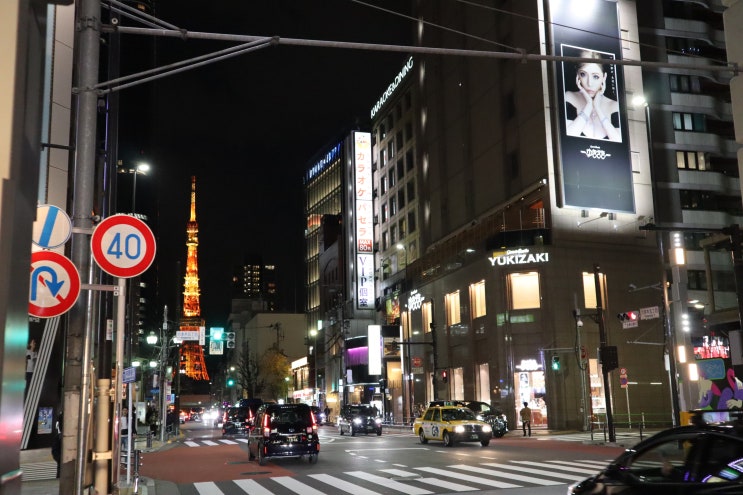 도쿄에서 카와구치코 당일치기 후지산 여행 롯폰기 힐즈 일루미네이션 도쿄타워 사진 잘 나오는 포토존