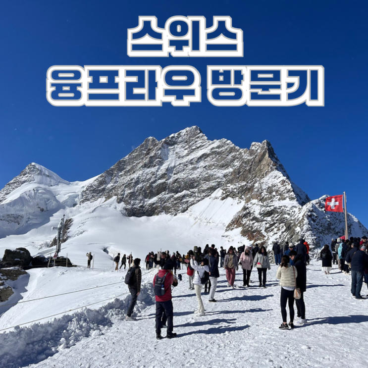  스위스 융프라우 요흐 깃발 사진 찍고 VIP 패스 스노우펀 타기 그리고 컵라면