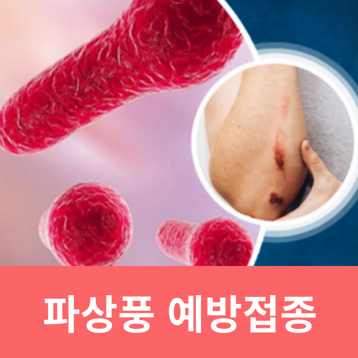  개물림 파상풍 원인 증상 균 예방접종 비용