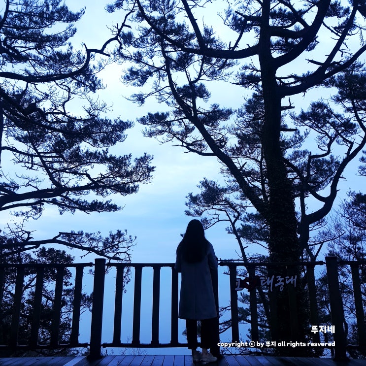  태종대, 태종대 유원지(feat. 태종대 다누비 열차, 전망대, 주차장)