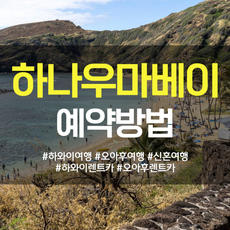  하나우마베이 예약, 이보다 자세할 순 없다!(+하와이 필수코스, 준비물, 예약꿀팁)