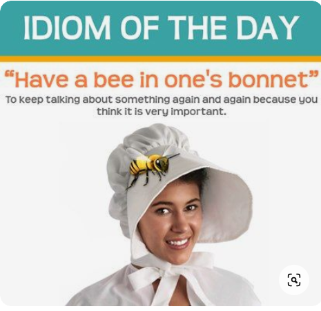 [영어] Have a bee in your bonnet을 아시나요?