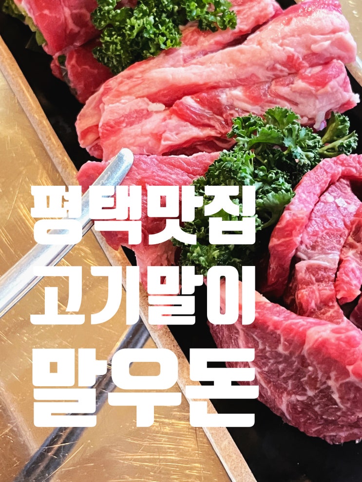  [경기] 현지인 추천 평택맛집 아이도 좋아하는 말우돈
