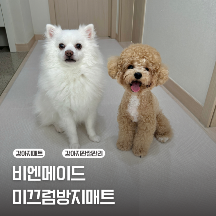  [강아지용품] 강아지 슬개골 관리에는 필수 미끄럼방지 매트 / 비엔메이드 롤 매트