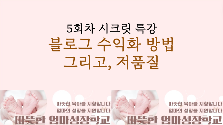  블로그 강사 래빗chu의 수익화&저품질 강의 셀프 후기