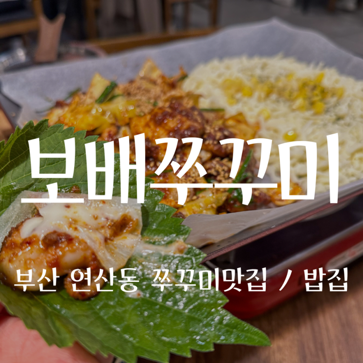 [부산 연산동밥집 / 맛집] 보배쭈꾸미 연산점