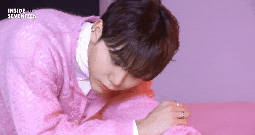  세븐틴 빙의글- 그놈은 인기인이지만, 은근 그녀가 신경쓰이는거같아(19++)