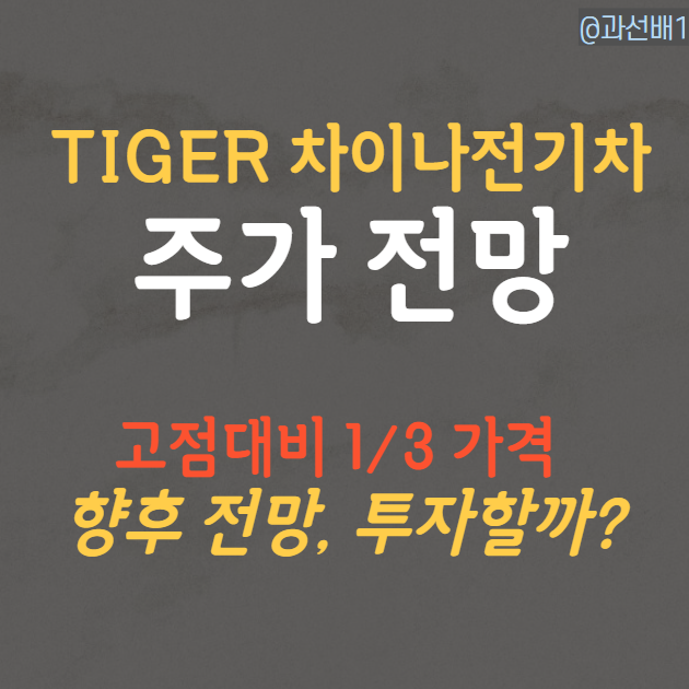  Tiger 차이나전기차SOLACTIVE 주가 전망, 하락 시 매수해야 할까