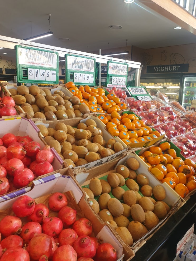  호주 QLD 골드코스트: 가격 착하고 종류 다양한 하버타운 과일가게 Discount fruit market/barn