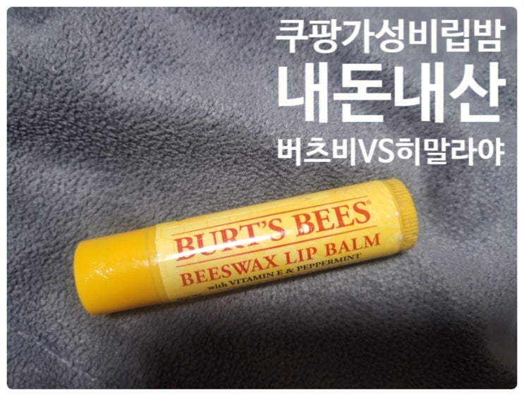  쿠팡 가성비 투명립밤 버즈비 비즈왁스립밤 히말라야 립밤 비교후기