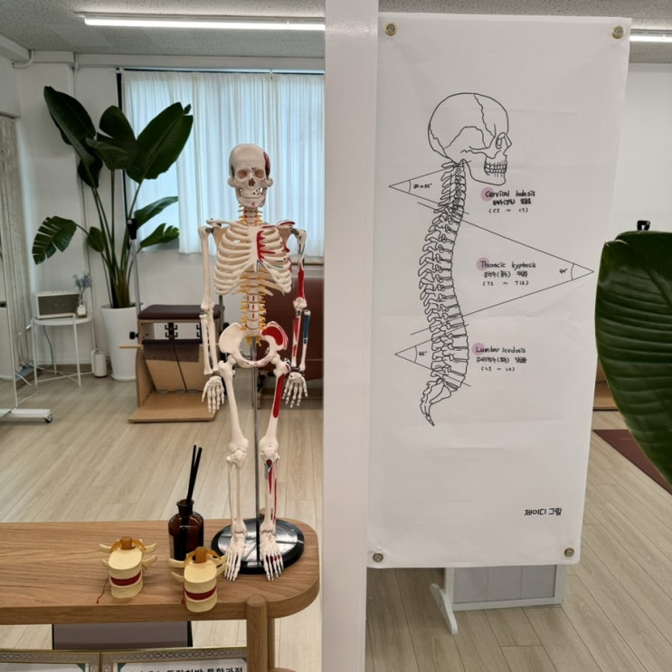  광명 체형분석 전문 예아필라테스 운동 후기