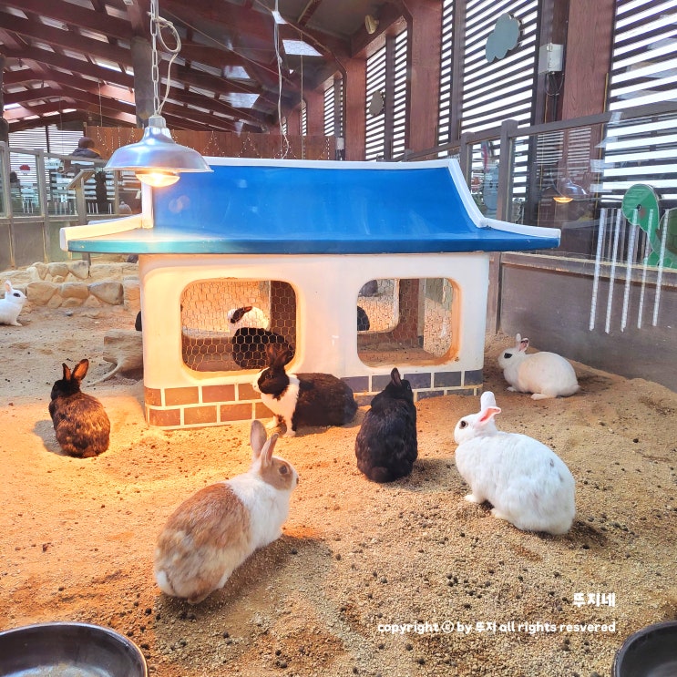  창녕 영산만년교, 산토끼 노래동산: 창녕 여행(1)(feat. 주차장, 요금, 화장실)