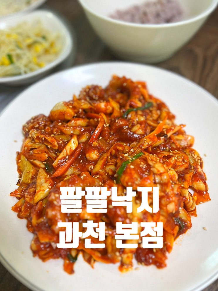  낙지전문점 팔팔낙지 과천본점 낙지볶음 찐 맛집