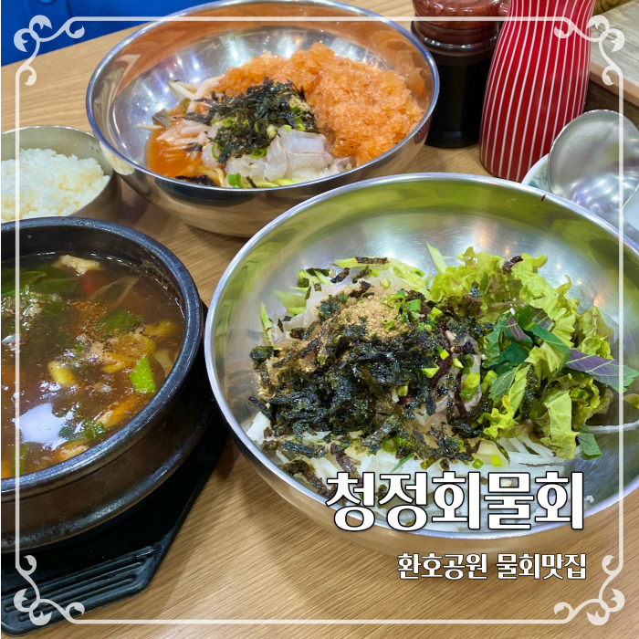  포항 환호공원 근처 숨은 전통물회 맛집 청정회물회