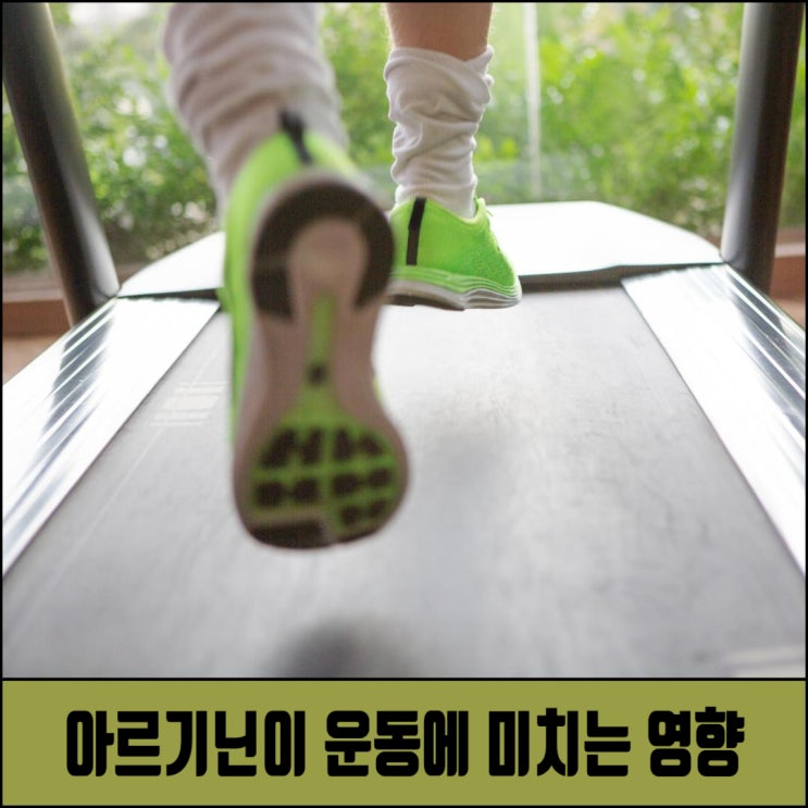  아르기닌이 운동에 미치는 영향