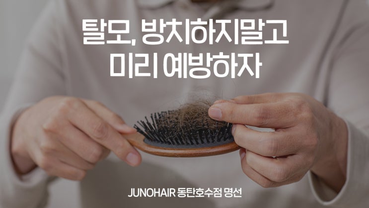 2동탄 미용실 l 탈모 방치하지말고 미리 예방하자