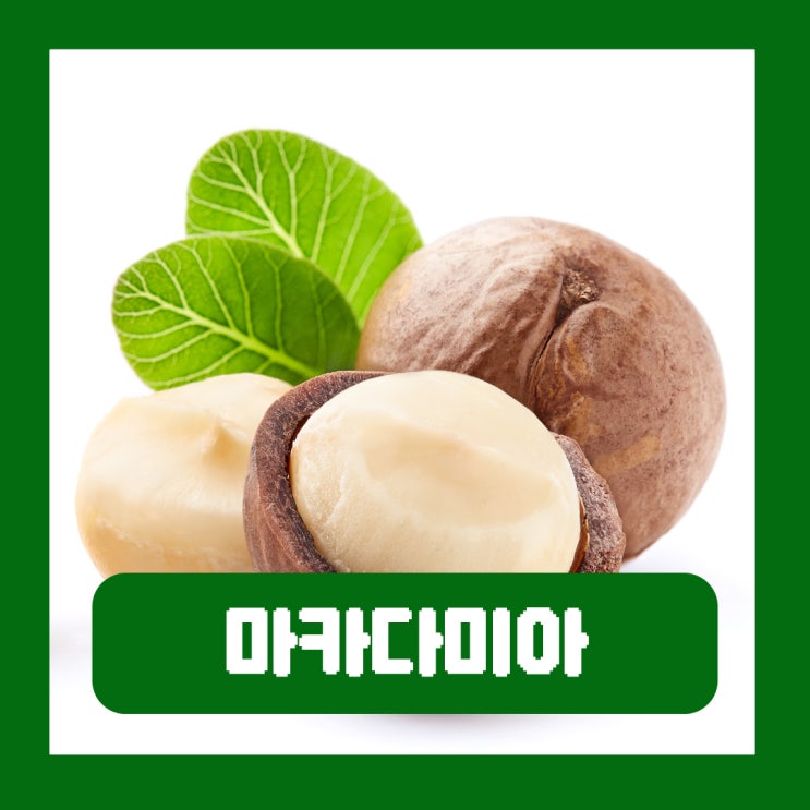  호주 마카다미아 하루 권장량 효능 부작용 칼로리