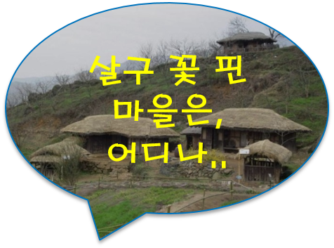 살구꽃 핀 마을은 어디나 고향(故鄕) 같다! 바람 없는 밤을 꽃 그늘에 달이 오면,,,  [살구꽃 핀 마을 / 이 호우 시인]