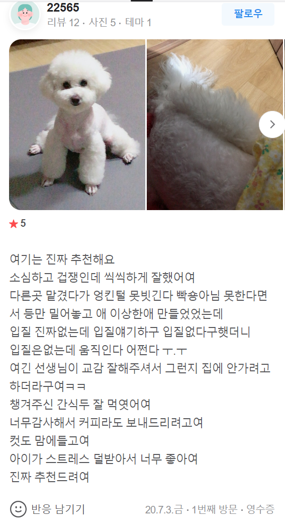  더쇼독? 22년차 애견미용 전문가의 진심 - 조수민대표