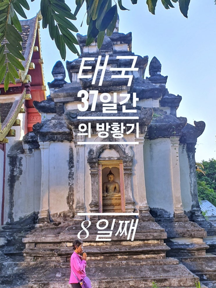  [태국 37일간의 방황기] 8일째 왓 프라싱 펀 포레스트 창푸악 야시장타패게이트 나이트 바자 하드락 올드 타운 남문 야시장