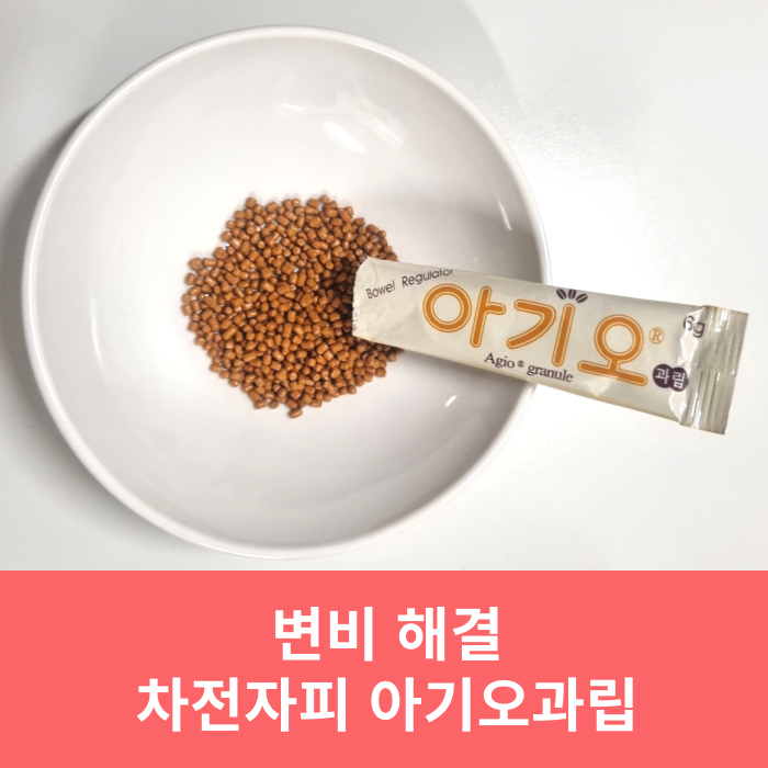  치질 수술 후 아기오과립 차전자피 효능 섭취 부작용 임산부 변비