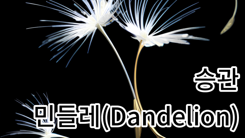 SEUNGKWAN - Dandelion (승관 - 민들레)