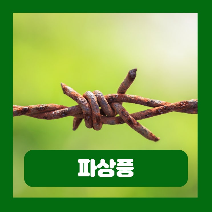  성인 파상풍 초기증상 치료 예방접종 기간 주사 가격