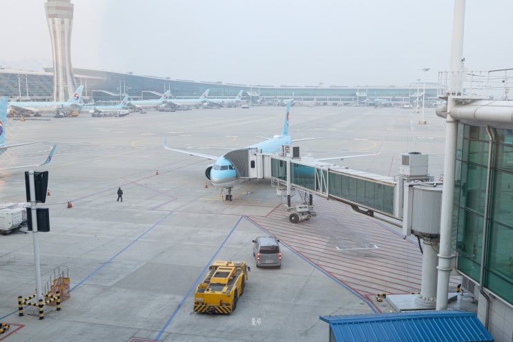 대한항공 A321neo 좌석 추천 및 KE781 인천 후쿠오카 기내식