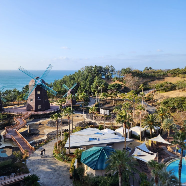  배타고 제주도 태교여행 2. 롯데호텔 테라스 오션뷰 객실/ 라세느 디너 후기