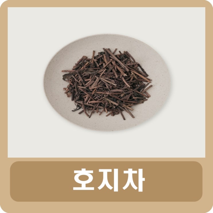  호지차 효능 및 카페인 함유량 정리