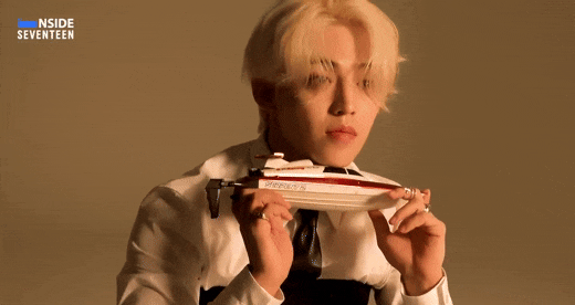 세븐틴 빙의글- 집착광공: 나는 주워온 그 녀석의 주인이다(19++)