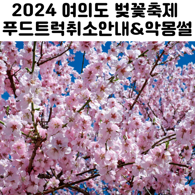2024 영등포 여의도 봄꽃축제 벚꽃축제 푸드트럭 모집 취소