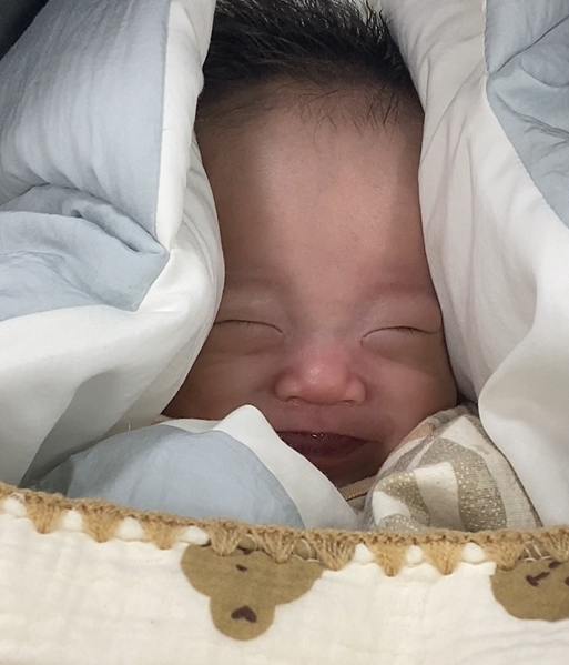 저희 도담이네를 응원해주시는 모든 분께 저희 도담이네를 응원해주시는 모든 분께