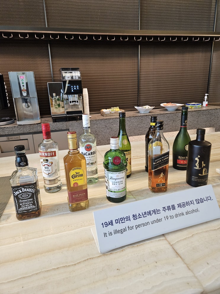  인천출발-파리도착 아시아나 이코노미 스마티움 좌석 후기