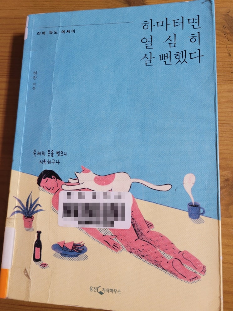  하마터면 열심히 살 뻔했다 하완 에세이