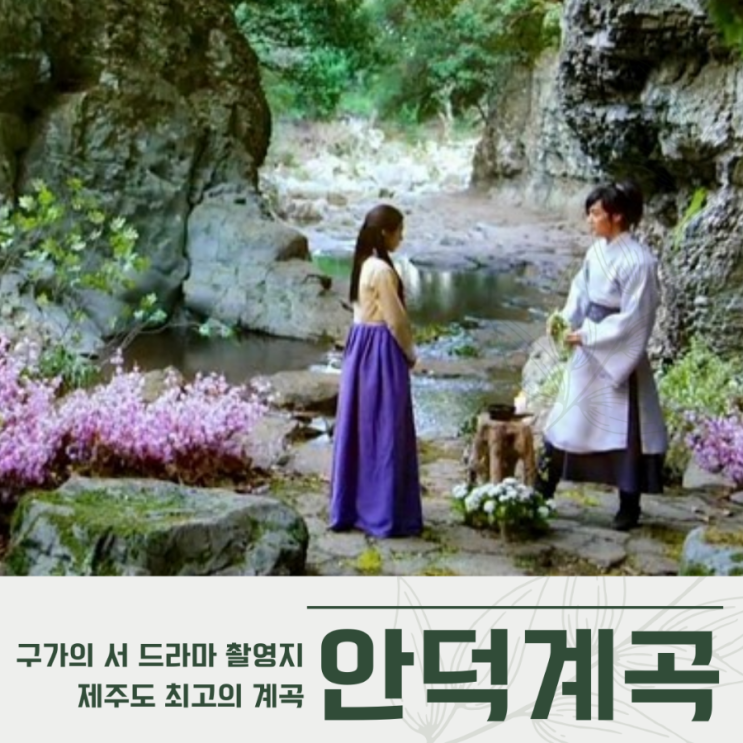  상록수림 지대 제주 안덕계곡 (서귀포) 기암절벽 추사 김정희가 찾던 곳