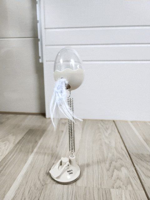  다이소 고양이 장난감 솔직후기 [스프링 간식볼]