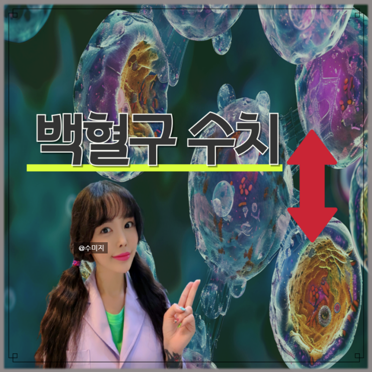  백혈구 수치 낮으면 수치가 높으면 WBC 수치 백혈구 정상수치