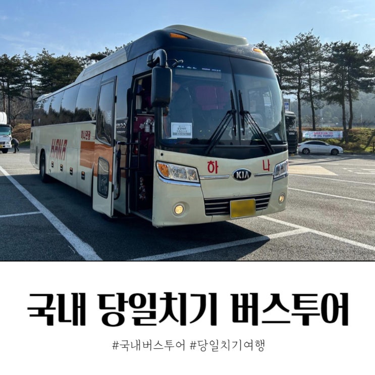  뚜벅이 꽃구경 국내 당일치기 버스투어 풍경 있는 여행