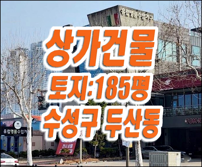 대구상가 수성구 두산동 4층상가건물 가구점 경매