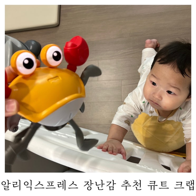  [육아템리뷰]알리익스프레스 움직이는 꽃게 장난감