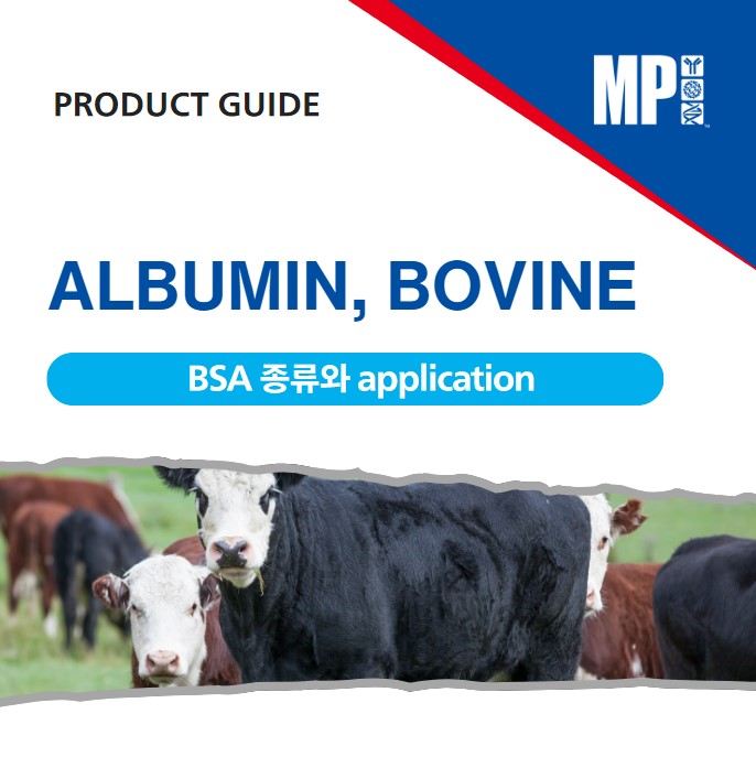 제품 가이드: Albumin, Bovine : BSA의 종류와 application