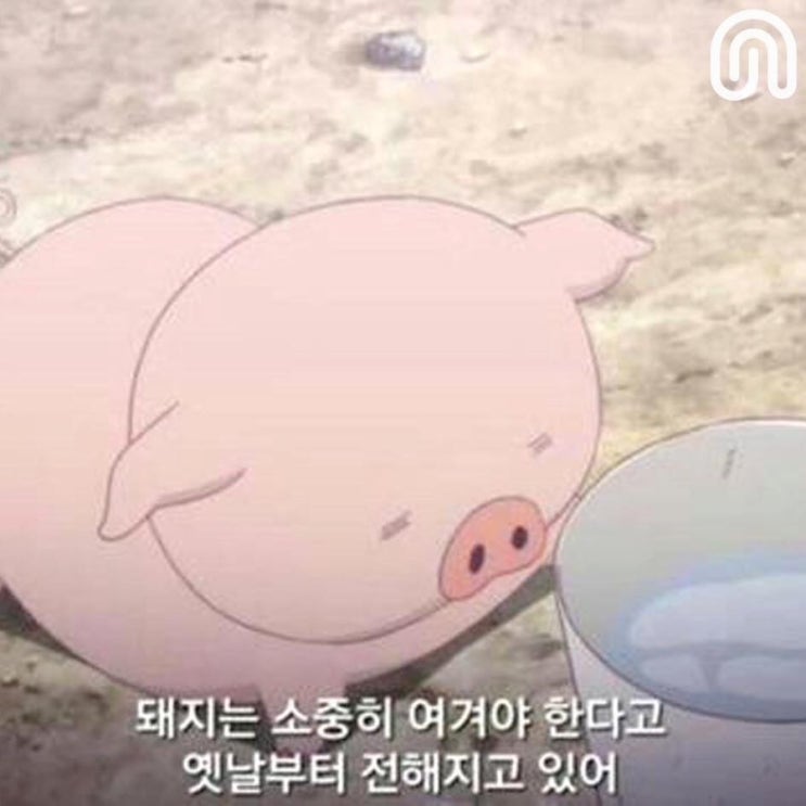  (•̀(oo)•́ )