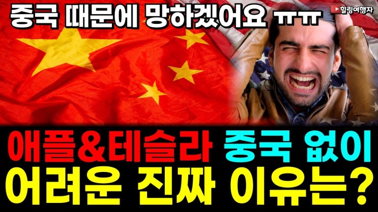 도대체 중국에서 얼마나 돈을 벌길래? 애플&테슬라 세계 최고의 기업들, 중국 시장 절대 포기 못하는 진짜 이유는? 도대체 중국에서 얼마나 돈을 벌길래? 애플&테슬라 세계 최고의 기업들, 중국 시장 절대 포기 못하는 진짜 이유는?