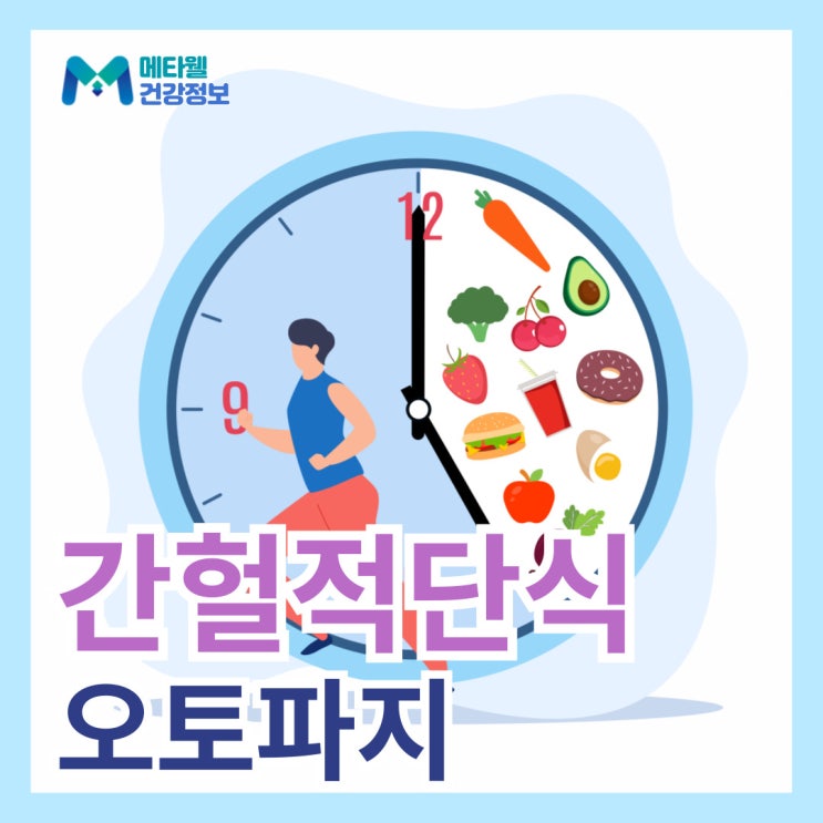  간헐적단식 오토파지 효과, 자가포식 시작 시간 원리, 간헐적 단식 장단점 16:8 방법 총정리