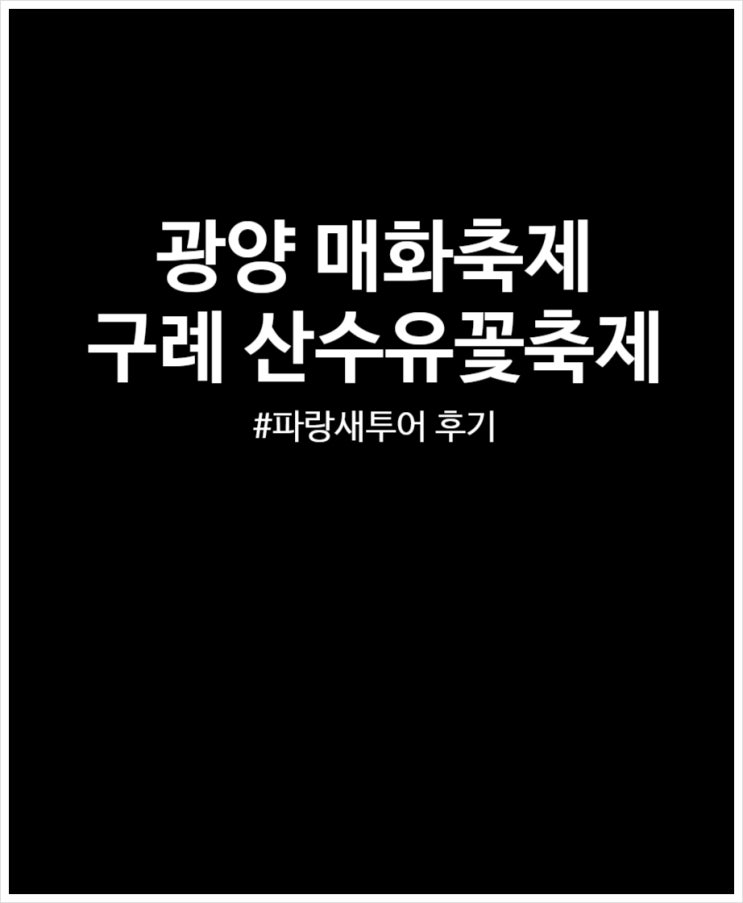 파랑새투어 후기 리뷰 (광양 매화축제 구례 산수유꽃축제)