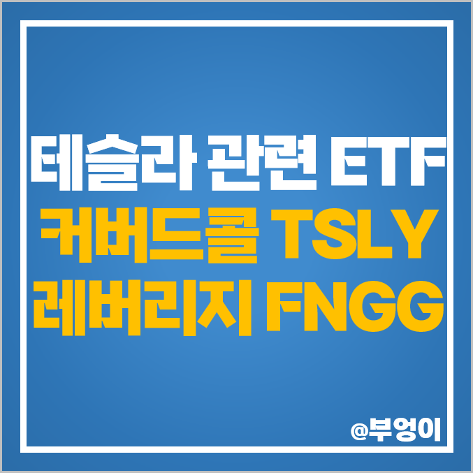 미국 TSLA 테슬라 ETF 투자 방법 TSLY FANG+ 주식 FNGG 주가