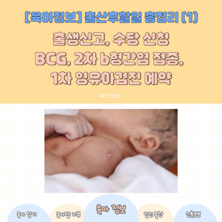 출산후 할일 총정리 1(출생신고, bcg, 2차 b형간염 접종, 1차 영유아검사 예약)