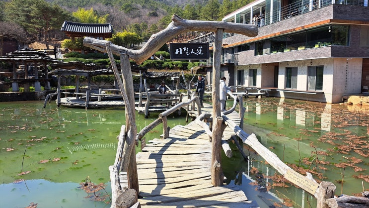  [봄꽃여행1] 봄 맞으러 경상찍고 전라로 1편-산청 수선사 / 하동 최참판댁, 스타웨이 하동