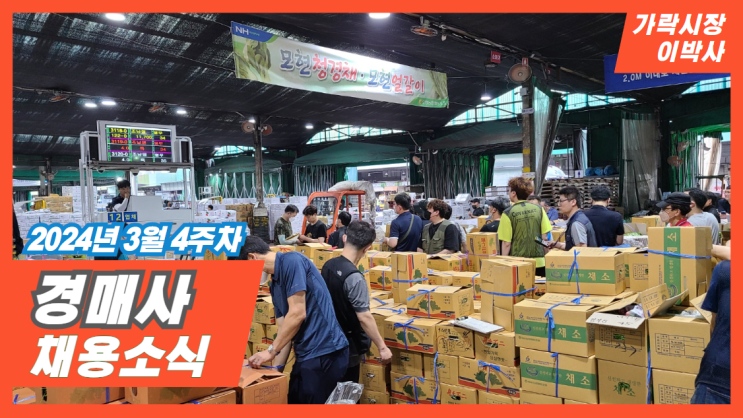 [경매사 채용정보] 2024년 3월 4주차 "경매사 채용정보"를 살펴보겠습니다!